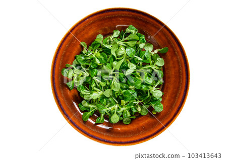 Fresh green corn salad leaves on a rustic plate. Isolated on white background. 103413643