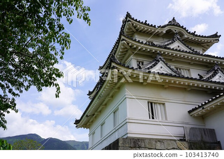 (現天守閣)宇和島城 (現天守閣)宇和島城 103413740