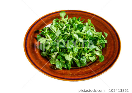 Fresh green corn salad leaves on a rustic plate. Isolated on white background. 103413861