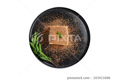 Italian Tiramisu cake with cocoa and mint on a plate. Isolated on white background. 103413896