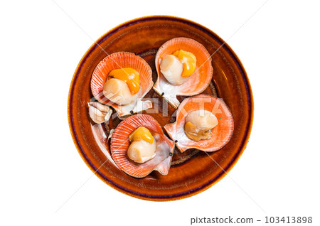 Shellfish raw Scallops on a rustic plate with thyme. Isolated on white background. Shellfish raw Scallops on a rustic plate with thyme. Isolated on white background. 103413898