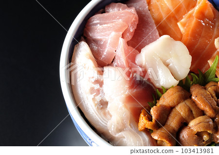 黑色背景中金槍魚、鮭魚、海鯛、扇貝和海膽的鳥瞰圖 103413981