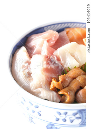 Shoot tuna, salmon, sea bream, scallop, and sea urchin on a white background Shoot tuna, salmon, sea bream, scallop, and sea urchin on a white background 103414029
