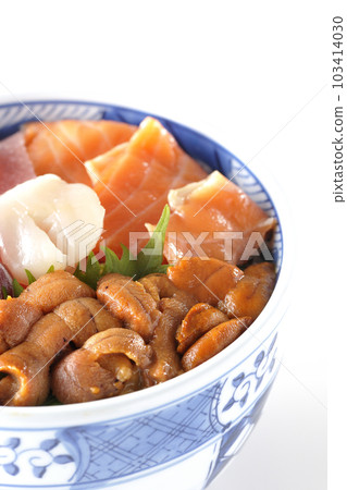 Shoot tuna, salmon, sea bream, scallop, and sea urchin on a white background 103414030