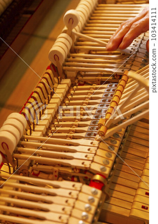 Delicate piano tuning by a mature technician Delicate piano tuning by a mature technician 103414111