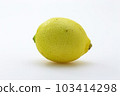 Lemon  103414298