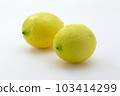 Lemon  103414299