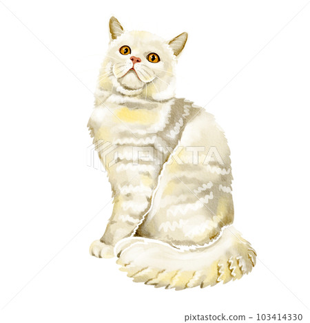 cat watercolor cat watercolor 103414330