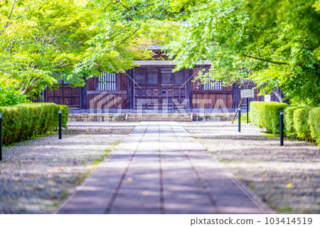 初夏的長正寺潮來 103414519