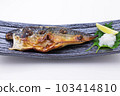 Grilled mackerel 103414810