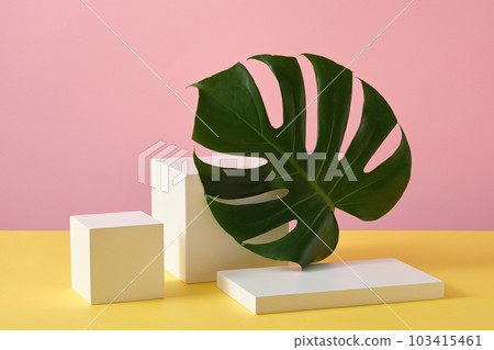 Elegant geometric shaped podium for product, cosmetic presentation. Pedestal or platform for beauty products Elegant geometric shaped podium for product, cosmetic presentation. Pedestal or platform for beauty products 103415461