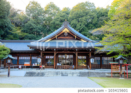 春天的群馬縣高崎市群馬形護國神社 103415601
