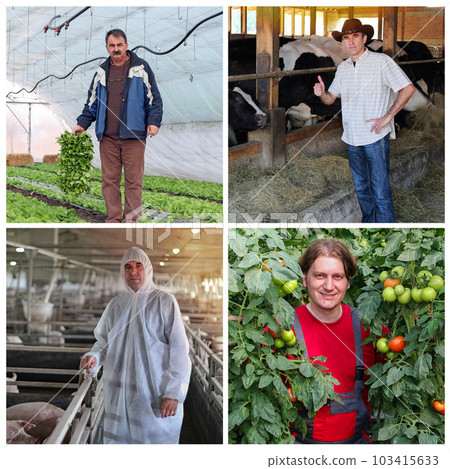 Livestock and Vegetable Farming - Farmer Portraits Collage Livestock and Vegetable Farming - Farmer Portraits Collage 103415633