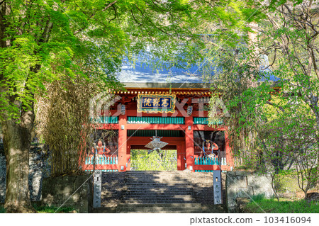 春季妙義神社群馬縣富岡市 103416094
