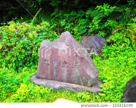 觀音崎公園水上廣場 103416299