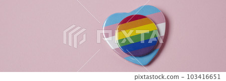rainbow flag and a transgender flag, banner format rainbow flag and a transgender flag, banner format 103416651