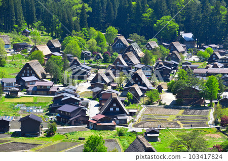 Haru Shirakawago Ogimachi district 103417824