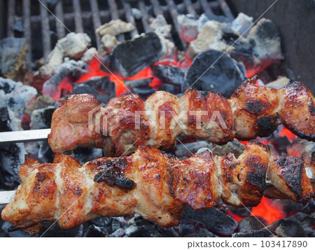Picnic, shashlik on skewers is prepared on the grill over the coals, cooking natural food. Marinated meat is cooked on coals. 103417890