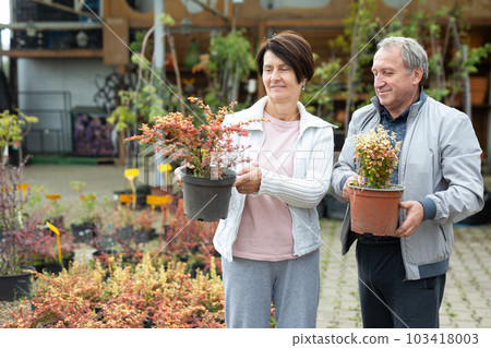 Positive mature couple in casual clothes choosing plants and shrubs in pots while shopping in garden center 103418003