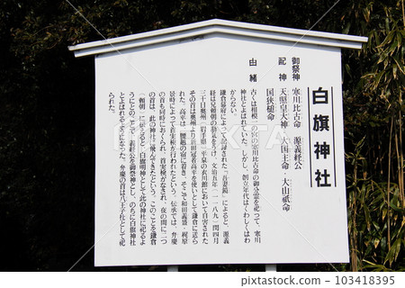 白幡神社的歷史(神奈川縣藤澤市) 白幡神社的歷史(神奈川縣藤澤市) 103418395