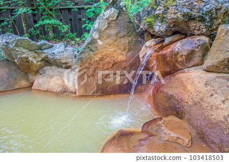 Fresh green open-air bath [Hirayu Onsen / Hirayu no Yu] 103418503