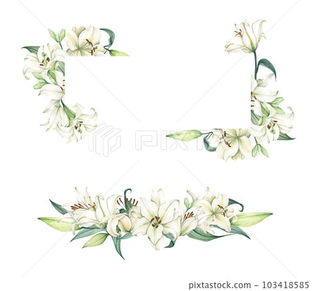 Set of White lily. Floral bouquet. Watercolor illustration. 103418585