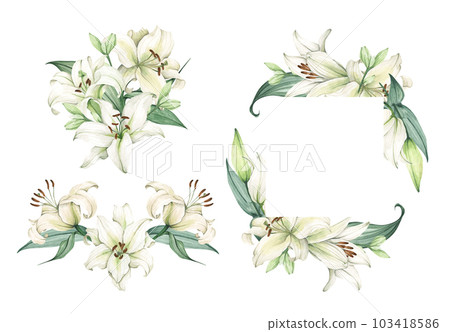 Set of White lily. Floral bouquet. Watercolor illustration. 103418586