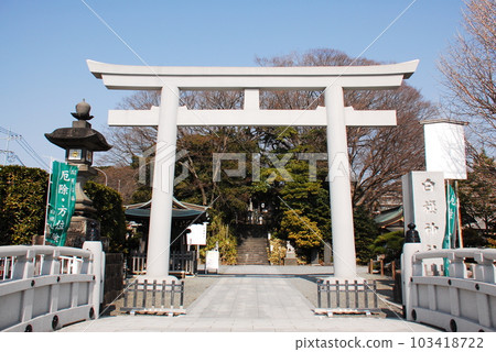 Torii of Shirahata Shrine (Fujisawa City, Kanagawa Prefecture) 103418722