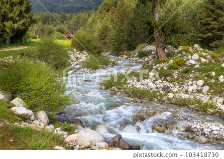 Blue river spring landscape, Bansko, Bulgaria Blue river spring landscape, Bansko, Bulgaria 103418730