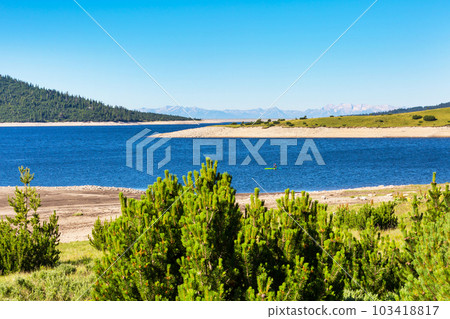 Beautiful Lake and mountains view with pine trees 103418817