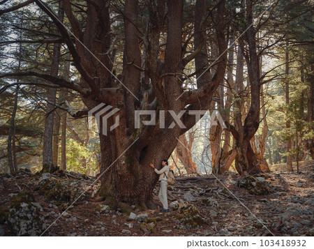 woman enjoys nature, beautiful forest in mountains 103418932