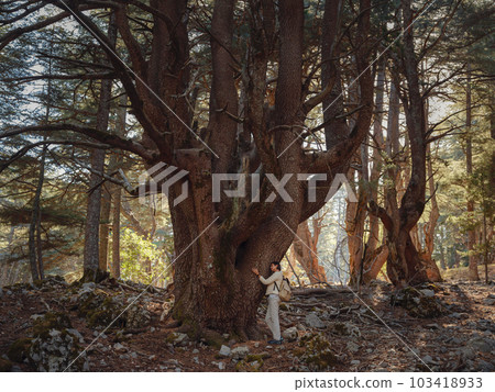 woman enjoys nature, beautiful forest in mountains woman enjoys nature, beautiful forest in mountains 103418933