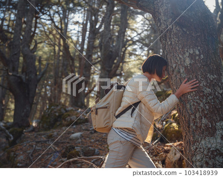 woman enjoys nature, beautiful forest in mountains woman enjoys nature, beautiful forest in mountains 103418939