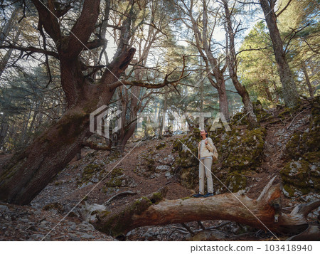 woman enjoys nature, beautiful forest in mountains woman enjoys nature, beautiful forest in mountains 103418940