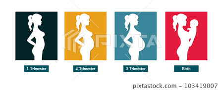 Pregnant woman silhouette, stages of pregnancy 103419007