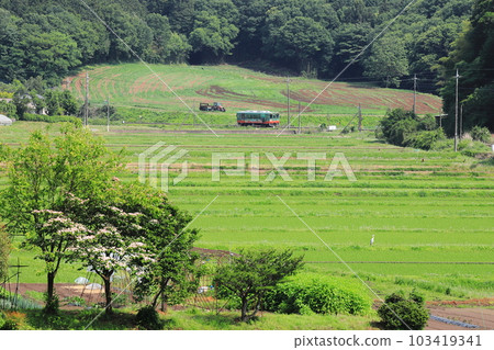 真岡鐵道“以田園風光和奶牛牧場為背景的列車” 真岡鐵道“以田園風光和奶牛牧場為背景的列車” 103419341