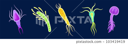 Plankton Water Organism with Tentacles Free Floating on Dark Background Vector Set Plankton Water Organism with Tentacles Free Floating on Dark Background Vector Set 103419419