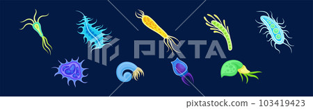 Plankton Water Organism with Tentacles Free Floating on Dark Background Vector Set Plankton Water Organism with Tentacles Free Floating on Dark Background Vector Set 103419423