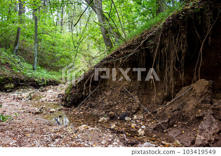 Landslide on the slope of a ravine Landslide on the slope of a ravine 103419549