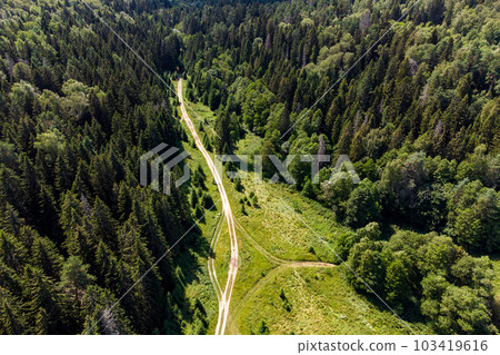 Bird's-eye view of the forest landscape Bird's-eye view of the forest landscape 103419616