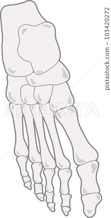 腳骨 103420272
