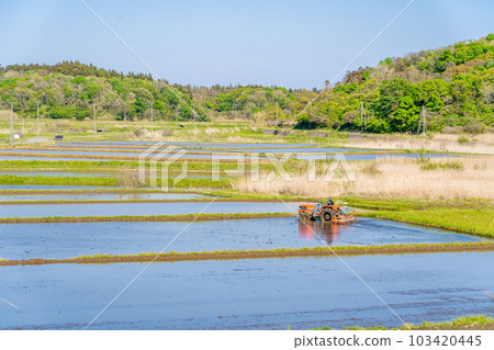 Rice planting plowing spring tractor handle Rice planting plowing spring tractor handle 103420445
