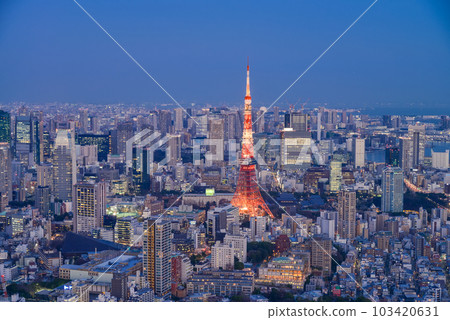 東京都/城市景觀/東京鐵塔夜景 103420631