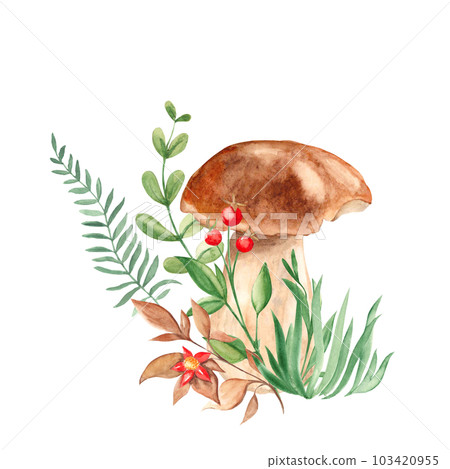 Watercolor forest composition. Porcini mushroom, green branches, grass, red berries and flower. Botanical hand drawn illustration isolated on white background. Can be used for greeting cards, posters 103420955