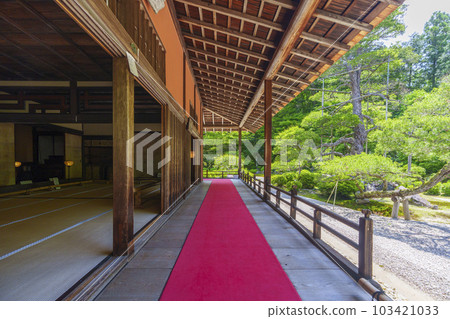 Manshu-in Monzeki Corridor in the season of fresh greenery (Ichijoji, Sakyo-ku, Kyoto) 103421033