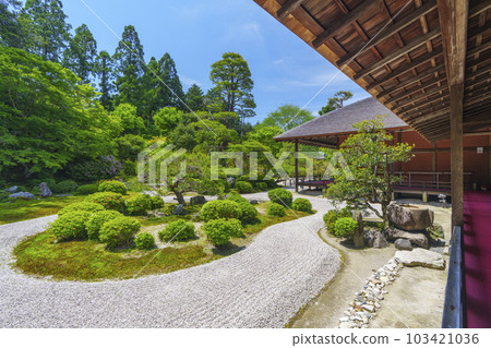 新綠季節的枯山水庭園萬樹院門跡（京都市左京區一乘寺） 103421036
