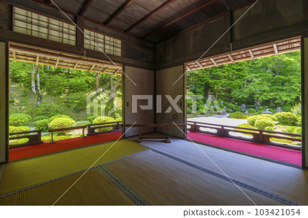 萬壽院門跡寺春季畫框庭園(京都市左京區一乘寺) 萬壽院門跡寺春季畫框庭園(京都市左京區一乘寺) 103421054