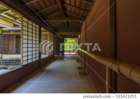 新綠季節的萬水院門跡庭園(京都市左京區一乘寺) 新綠季節的萬水院門跡庭園(京都市左京區一乘寺) 103421055