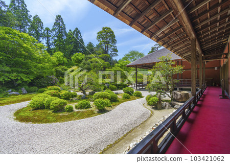 Manshu-in Monzeki Garden Kamejima (Ichijoji, Sakyo-ku, Kyoto) in the season of fresh greenery 103421062