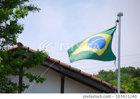 Brazilian flag Brazilian flag 103421240